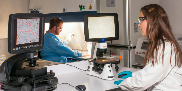 two doctors working on computers